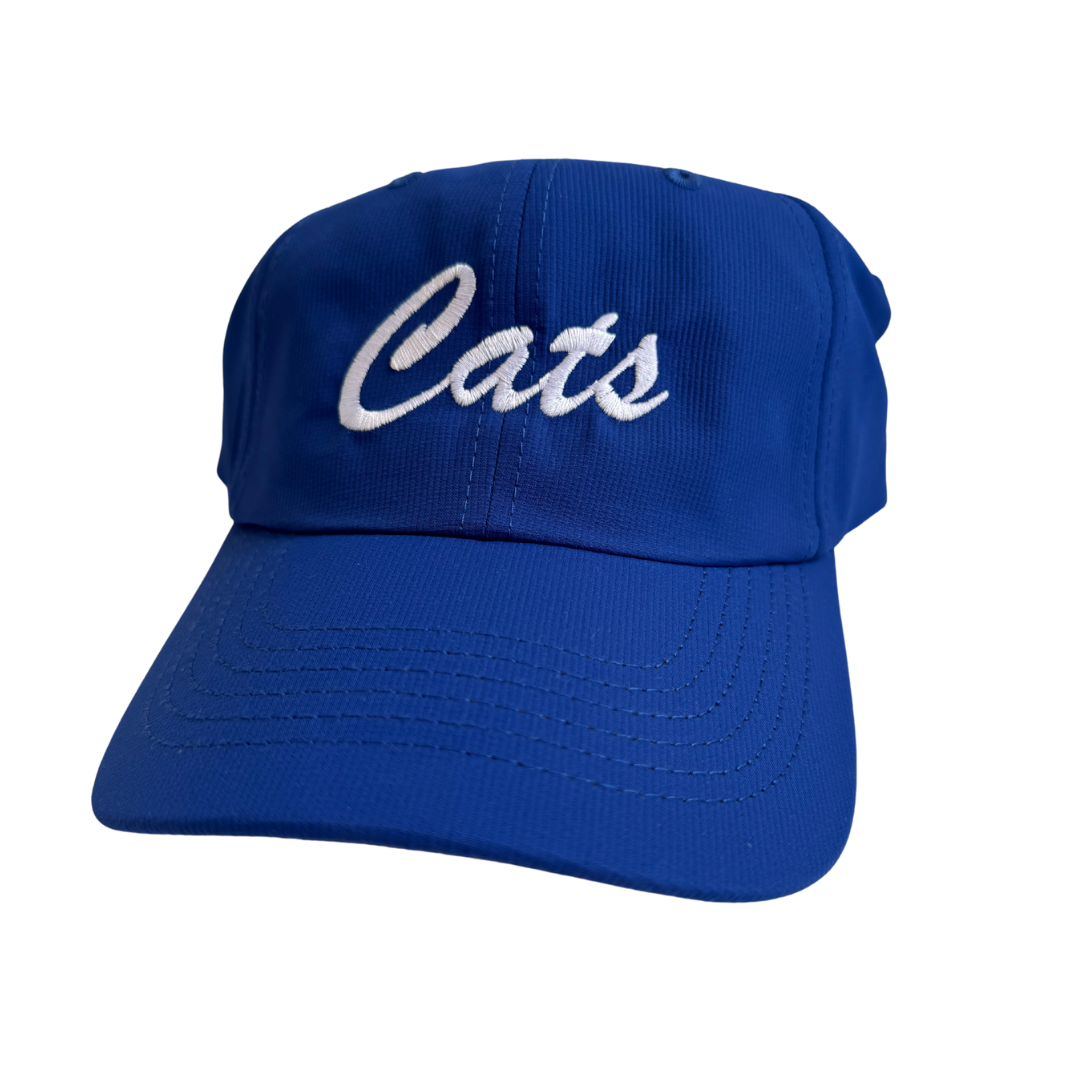 Meridian Wildcats Dad Cap