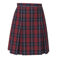 Red and Navy Plaid Skirt
