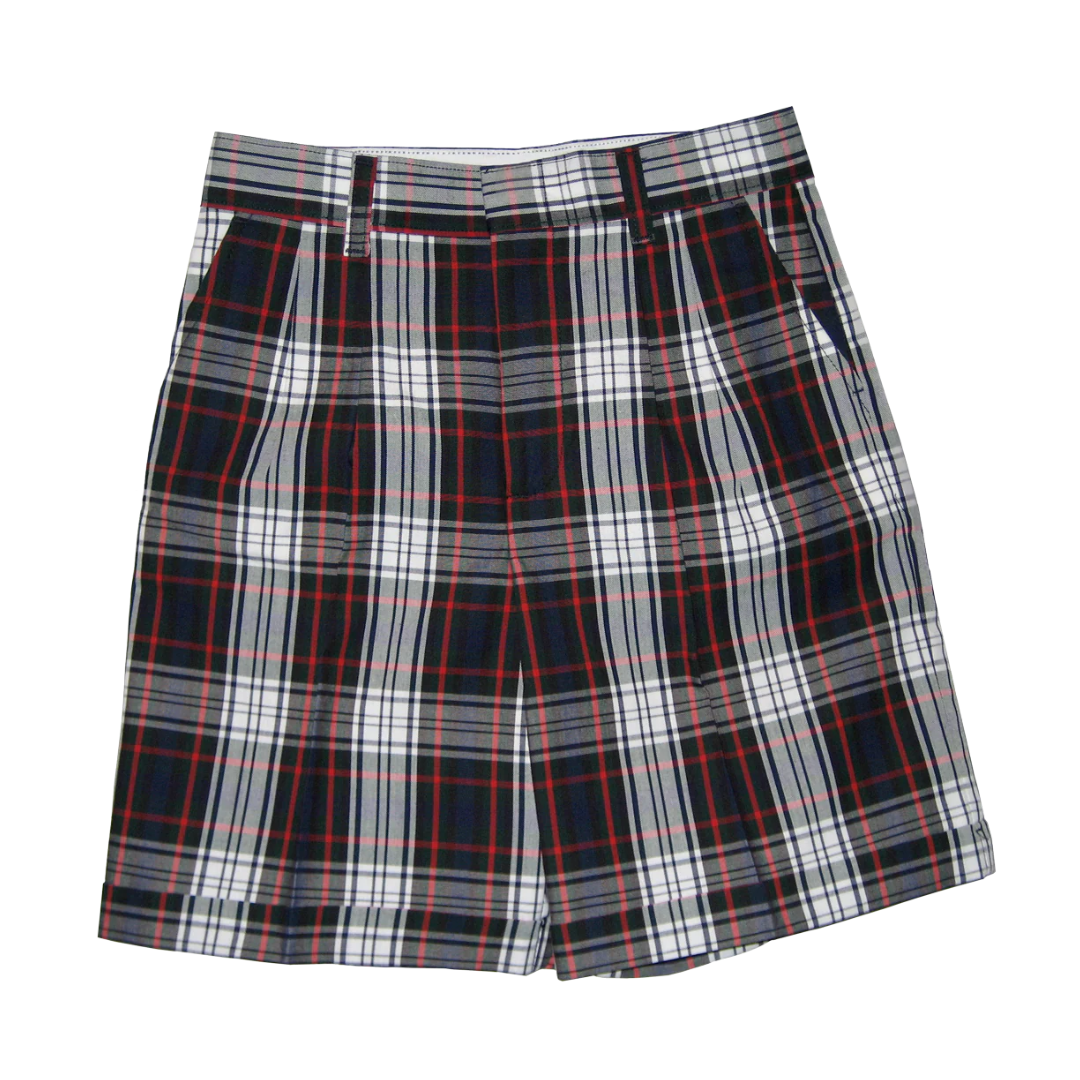 Navy and White Plaid Shorts